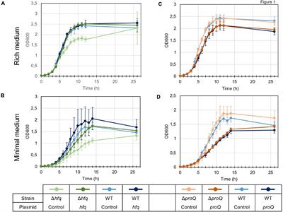 RNA Chaperones Hfq and ProQ Play a Key Role in the Virulence of the Plant Pathogenic Bacterium Dickeya dadantii